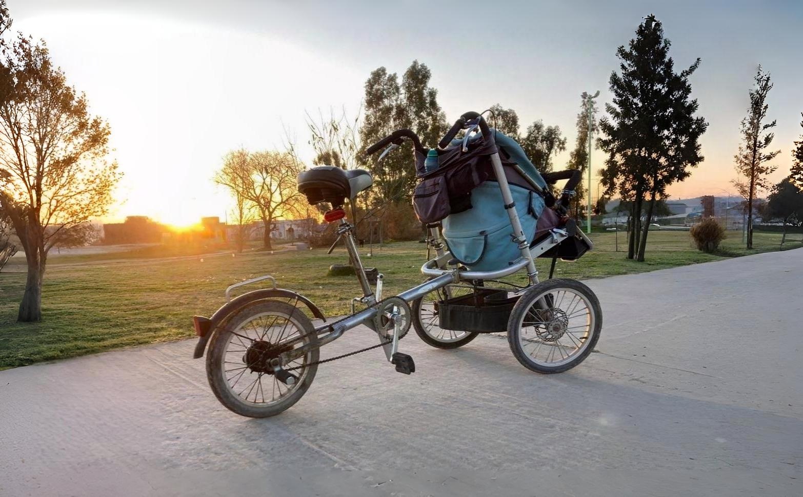 Conexión y vínculos